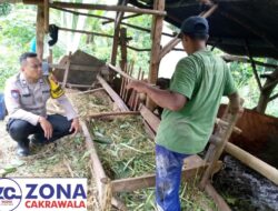 Sosialisasi PMK, Polsek Singorojo Pastikan Ternak di Desa Kertosari Aman
