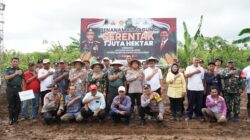 Upaya Wujudkan Ketahanan Pangan Nasional, Polda Jateng Tanam  Bibit Jagung di 4.906 Hektar Lahan Pertanian