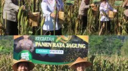 Polres Pacitan Bersama Warga Tani Panen Jagung Wujudkan Ketahanan Pangan Nasional
