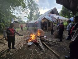 Tindak Tegas Perjudian Polres Mojokerto Bongkar Arena Sabung Ayam