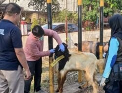 Polres Madiun Kota Datangkan Dokter Hewan Pastikan Kesehatan Hewan Kurban