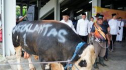 Momen Idul Adha 1446 H, Kakorlantas Bicara Makna Kepatuhan dan Keikhlasan dalam Kehidupan Sehari-hari