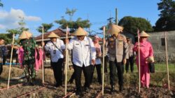 Polres Trenggalek Tanam Jagung Serentak, Dukung Swasembada Pangan Kwartal III