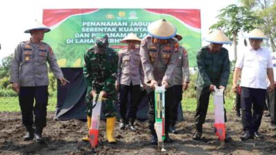 Usai Dilantik, Kapolres Mojokerto Kota Pimpin Penanaman Jagung Serentak Kuartal III