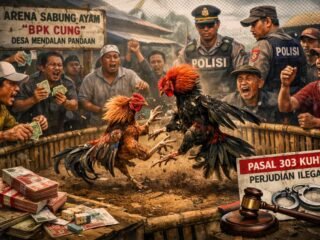 Kasatreskrim Diduga Bungkam, Arena Sabung Ayam di Mendalan Pandaan Terus Beroperasi