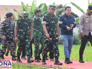 Pangdam IV Diponegoro dampingi Menko Pangan RI laksanakan Panen Raya Padi di Kabupaten Tegal