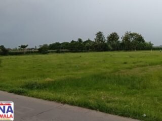 Nasib Lapangan Margosari Mangkrak Diduga Ulah Kepala Desa Warga dan Pemuda Mati Suri dan Terbungkam