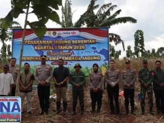 Polres Kendal Tanam Jagung Serentak di Kedungsuren, Dukung Program Ketahanan Pangan Nasional*