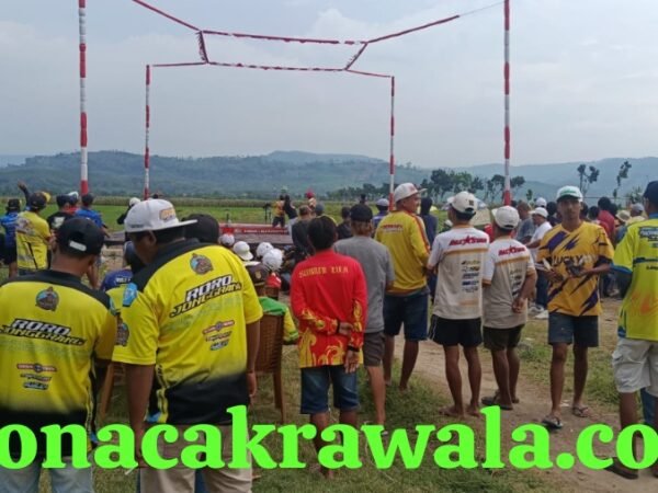 Ribuan Peserta Padati Event Merpati "New Ayla" di Weleri, Geliatkan Ekonomi Kreatif Desa Manggungsari