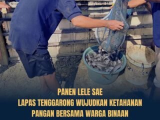Panen Lele SAE Lapas Tenggarong Hasilkan 90 Kg, Wujud Pembinaan Kemandirian Warga Binaan