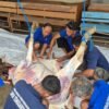 Tebar Kepedulian di Hari Raya Kurban, Lapas Tenggarong Satukan WBP, Petugas, dan Masyarakat dalam Semangat Iduladha
