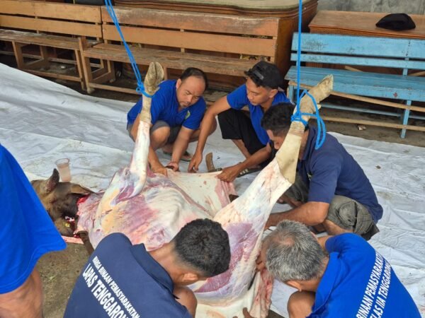 Tebar Kepedulian di Hari Raya Kurban, Lapas Tenggarong Satukan WBP, Petugas, dan Masyarakat dalam Semangat Iduladha