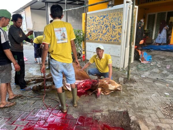 Warga Gresik dan Surabaya Apresiasi Kurban Kalaborasi Tiga Media Online, Dinilai Bawa Manfaat dan Pererat Kepedulian Sosial