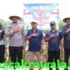 Panen Raya Jagung di Kendal, Kapolres Lepas Pengiriman ke Bulog