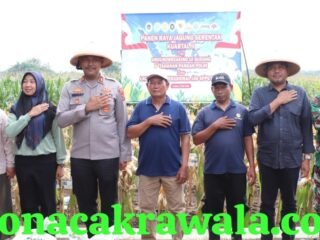 Panen Raya Jagung di Kendal, Kapolres Lepas Pengiriman ke Bulog