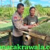 ​Sinergi Polri dan Petani: BKTM Bagik Papan Cek Bibit Pertanian Guna Dukung Ketahanan Pangan Nasional
