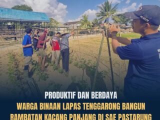 SAE PASTARUNG Lapas Kelas IIA Tenggarong Kembangkan Budidaya Kacang Panjang, Warga Binaan Dibekali Keterampilan untuk Masa Depan