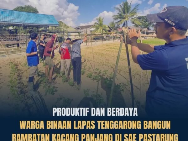 SAE PASTARUNG Lapas Kelas IIA Tenggarong Kembangkan Budidaya Kacang Panjang, Warga Binaan Dibekali Keterampilan untuk Masa Depan