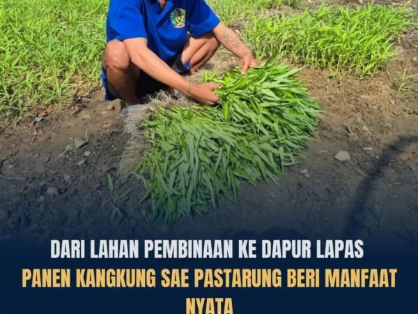 Panen Kangkung SAE PASTARUNG, Lapas Kelas IIA Tenggarong Perkuat Pembinaan Kemandirian dan Ketahanan Pangan