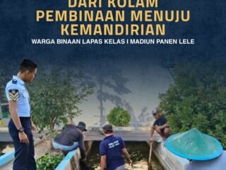 Dari Kolam Pembinaan Menuju Kemandirian, Warga Binaan Lapas Kelas I Madiun Sukses Panen Lele Hasil Program Pembinaan Kemandirian