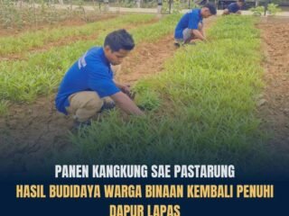 SAE PASTARUNG Panen Kangkung, Lapas Kelas IIA Tenggarong Perkuat Ketahanan Pangan melalui Pembinaan Produktif Warga Binaan