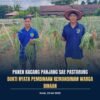 SAE PASTARUNG Kembali Panen Kacang Panjang, Bukti Nyata Pembinaan Kemandirian Warga Binaan Lapas Tenggarong