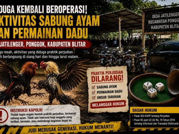 Diduga Kembali Beroperasi, Aktivitas Sabung Ayam dan Permainan Dadu di Jatilenger Blitar Jadi Sorotan Warga