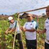 Kakanwil Ditjenpas Kaltim Endang Lintang Hardiman Panen Kacang Panjang di SAE Pastarung, Wujud Nyata Pembinaan Kemandirian WBP