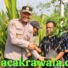 Kapolres Kendal Bersama Warga Tanam 700 Bibit Pohon di Tunggulsari, Perkuat Kelestarian Lingkungan