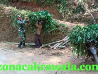 Tanpa Ragu Pikul Rumput Warga, Prajurit TMMD Ini Tunjukkan TNI Selalu Hadir untuk Rakyat
