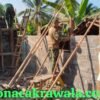 TMMD Hadir Bawa Harapan, Rumah Reyot Kini Jadi Tempat Tinggal yang Layak