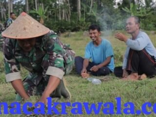 Wujud Kemanunggalan TNI dan Rakyat, Satgas TMMD Bantu Warga Cari Pakan Ternak