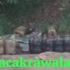 Dugaan Penggunaan Solar Subsidi dan Keterlibatan Oknum Polisi dalam Aktivitas Galian C di Batang Disorot