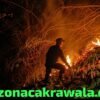 Si Jago Merah Lahap Lahan Jati, Anggota Koramil 715-04/Weleri Bantu Padamkan di Desa Sambongsari
