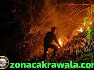 Si Jago Merah Lahap Lahan Jati, Anggota Koramil 715-04/Weleri Bantu Padamkan di Desa Sambongsari
