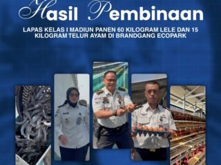 Hasil Pembinaan, Lapas Kelas I Madiun Panen 60 Kilogram Lele dan 15 Kilogram Telur Ayam di Brandgang Ecopark