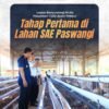 Perkuat Ketahanan Pangan, Lapas Banyuwangi Masukkan 1.500 Ayam Petelur ke SAE Paswangi