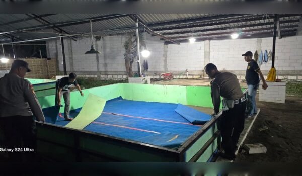 Respon Laporan Warga, Polresta Sidoarjo Bongkar Arena Sabung Ayam di Dua Lokasi