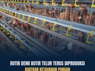 Telur PASTARUNG, Hasil Peternakan untuk Pemenuhan Pangan WBP