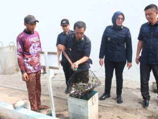 Lapas Kelas I Madiun Panen 70 Kilogram Lele untuk Dukung Ketahanan Pangan Dapur Bersahaja